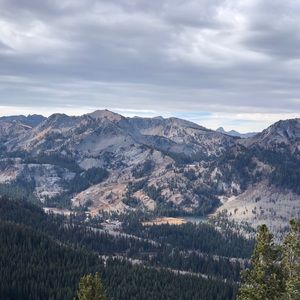 Meet your Posher, Kellen